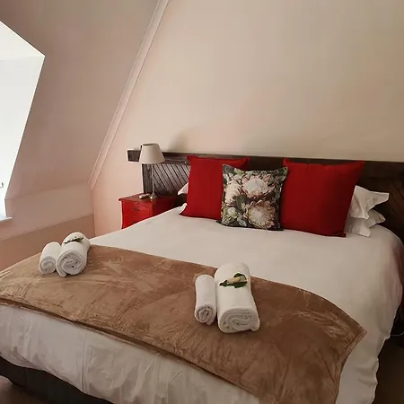Wild Olive Guest House & Villa Cape Town Exterior photo