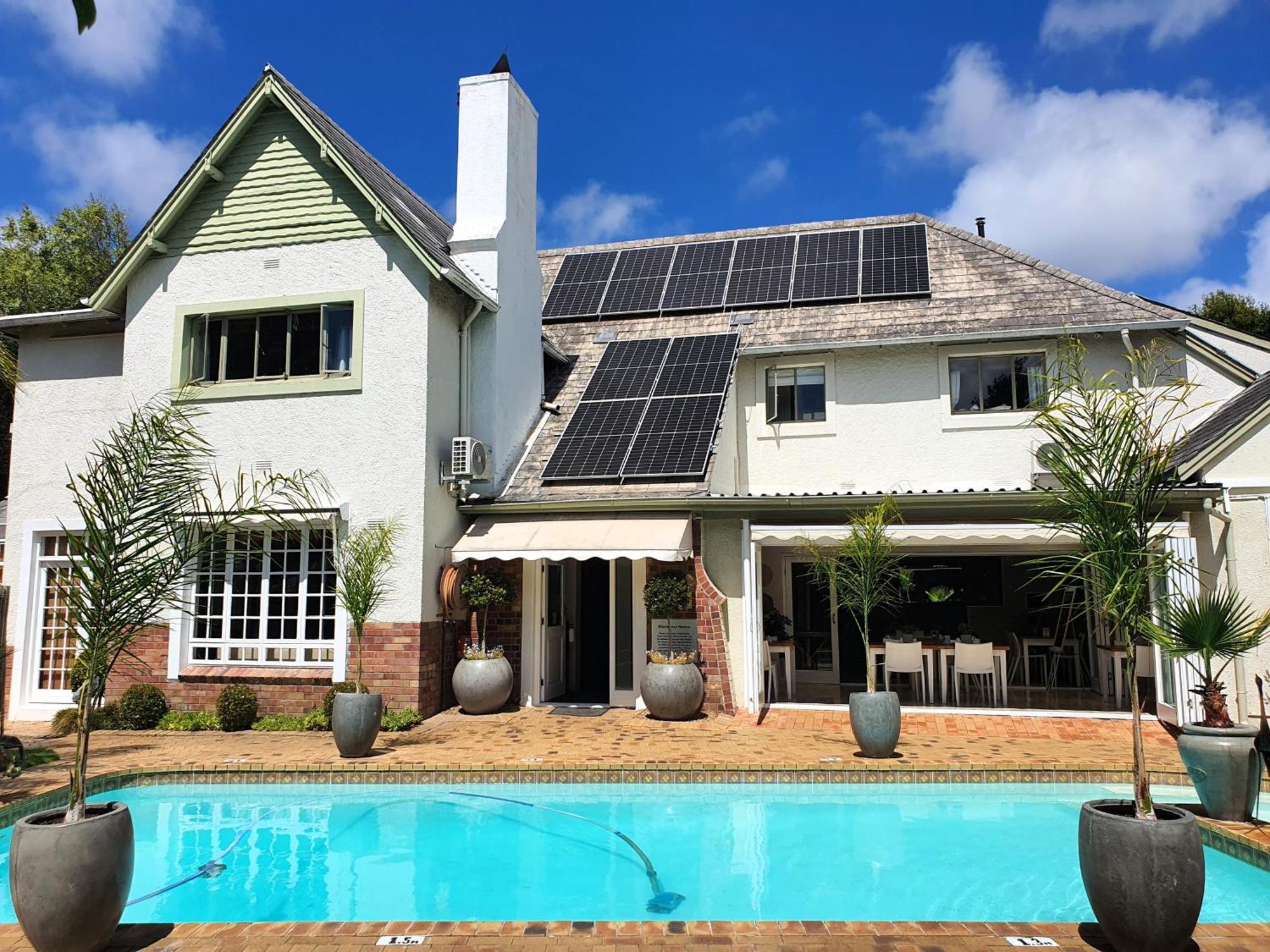 Wild Olive & Guest house