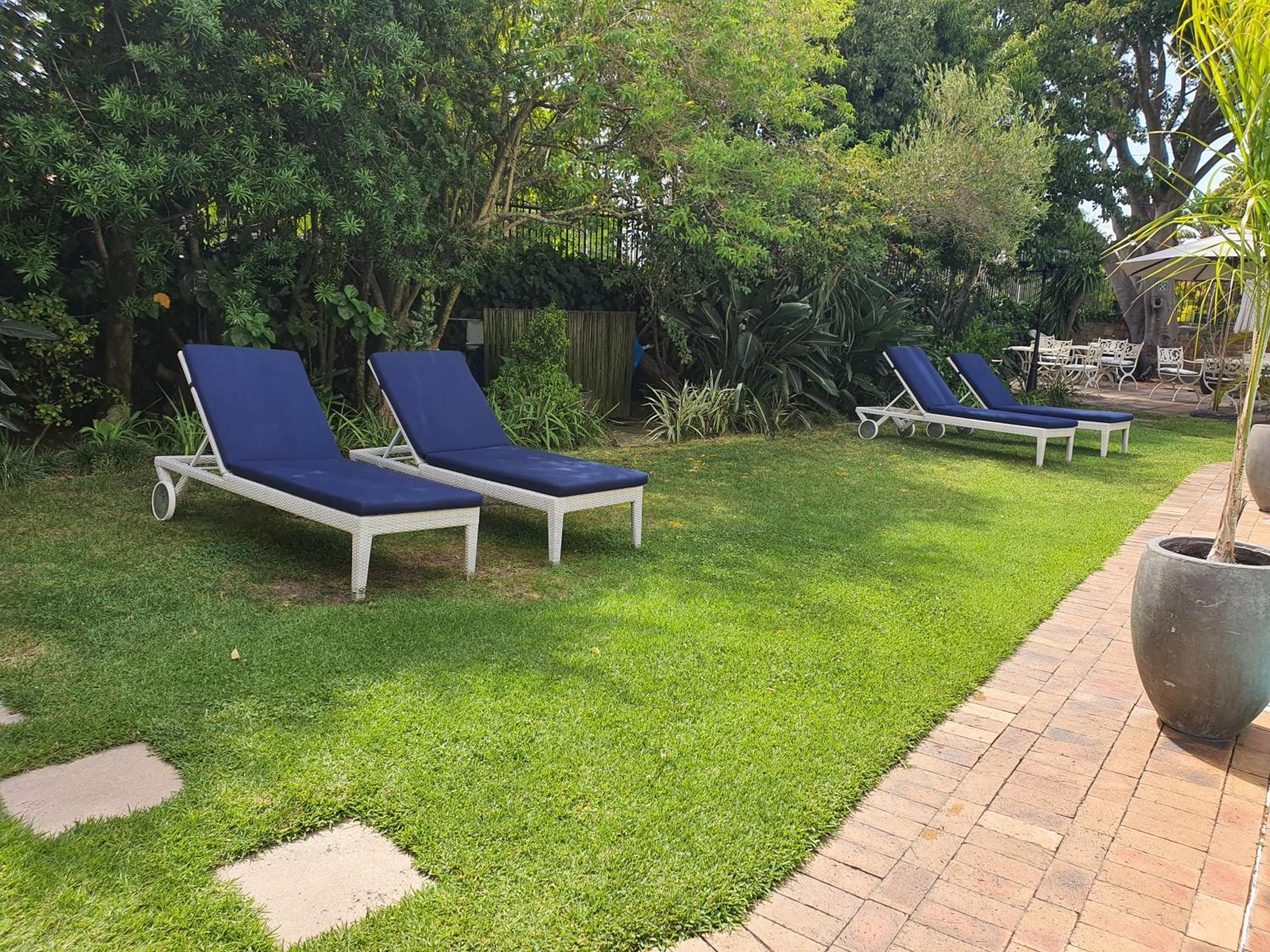 Guest house Wild Olive & 4*