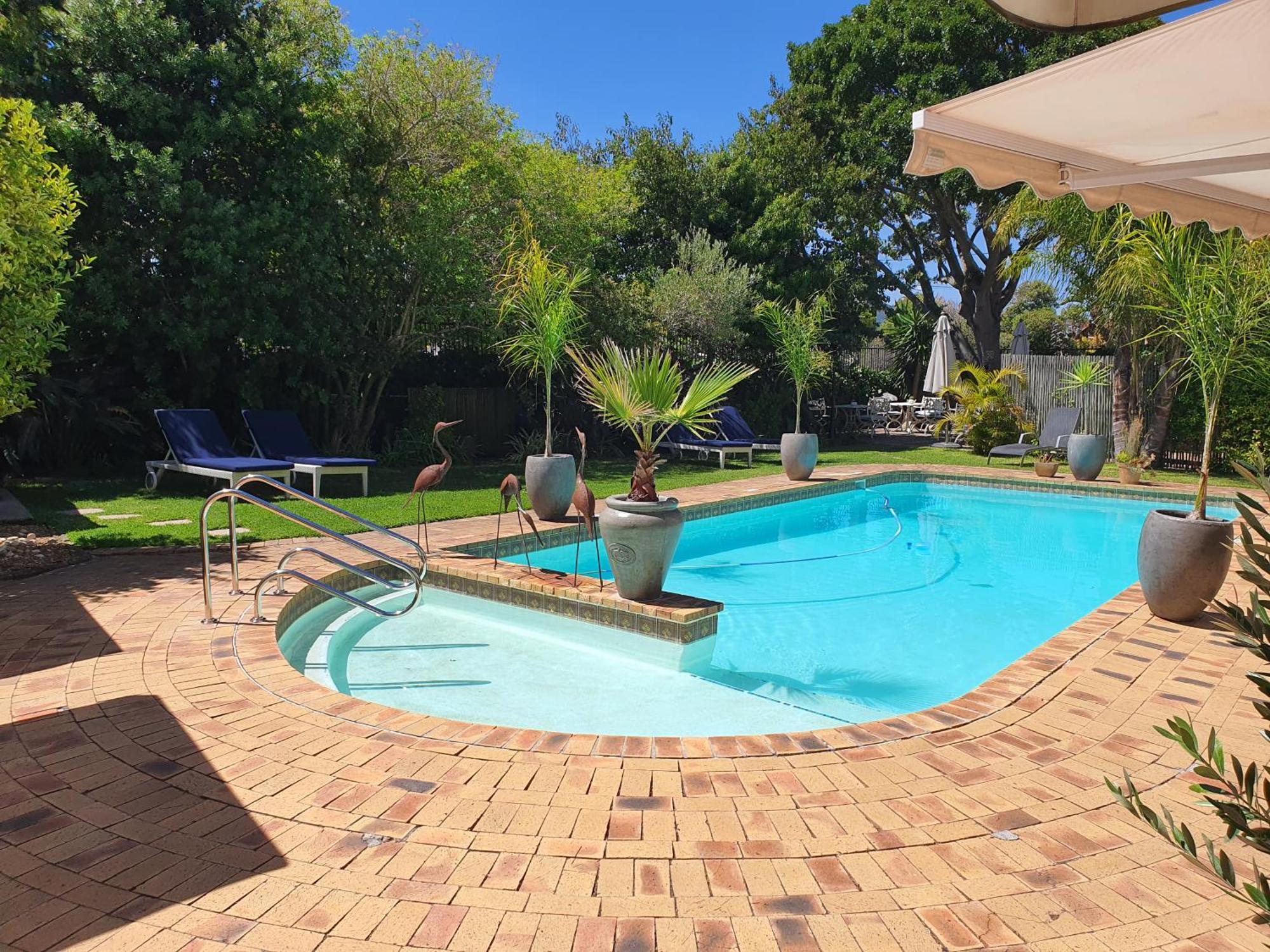 Wild Olive & Guest house Cape Town