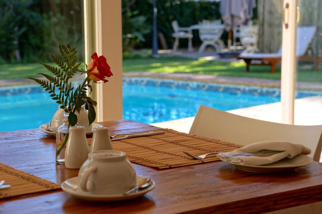 Guest house Wild Olive & Cape Town