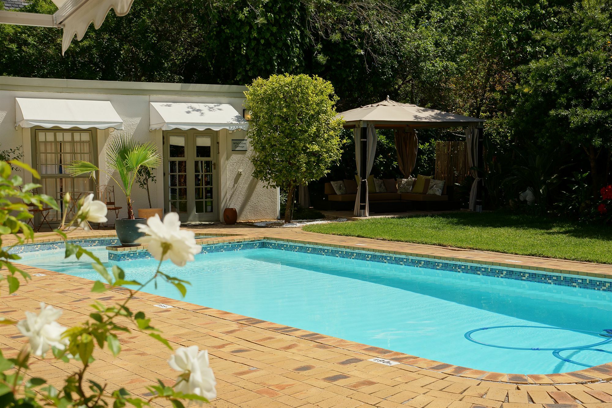 Wild Olive & Guest house 4*