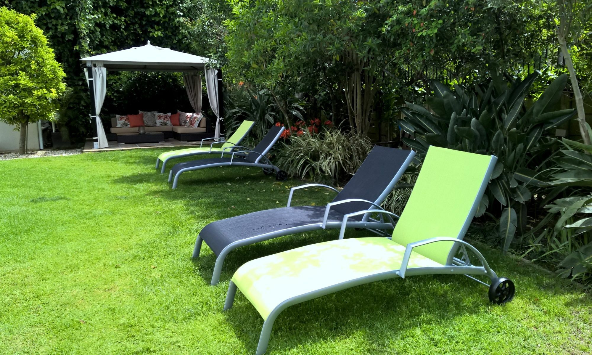 Guest house Wild Olive & Cape Town
