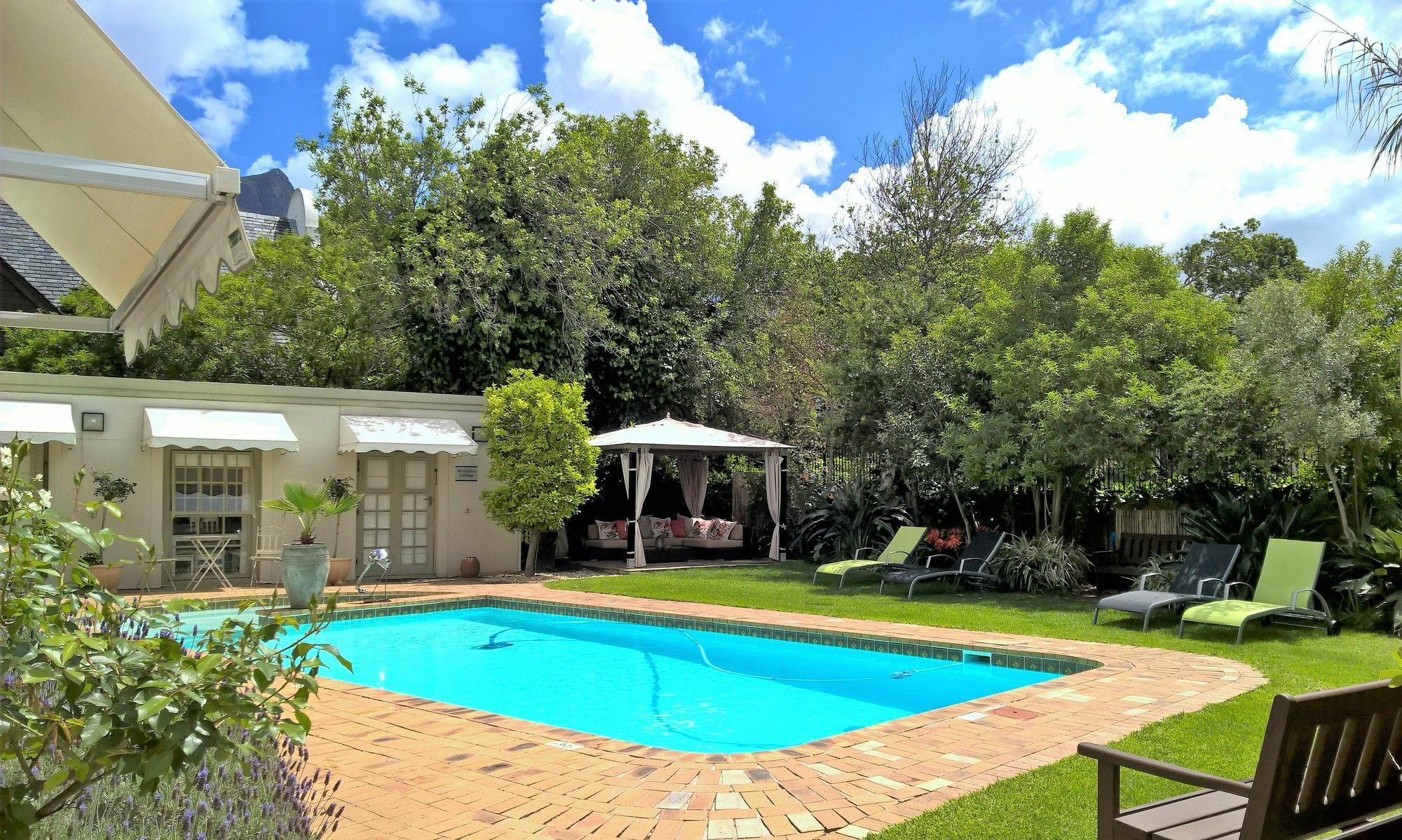 Guest house Wild Olive & Cape Town