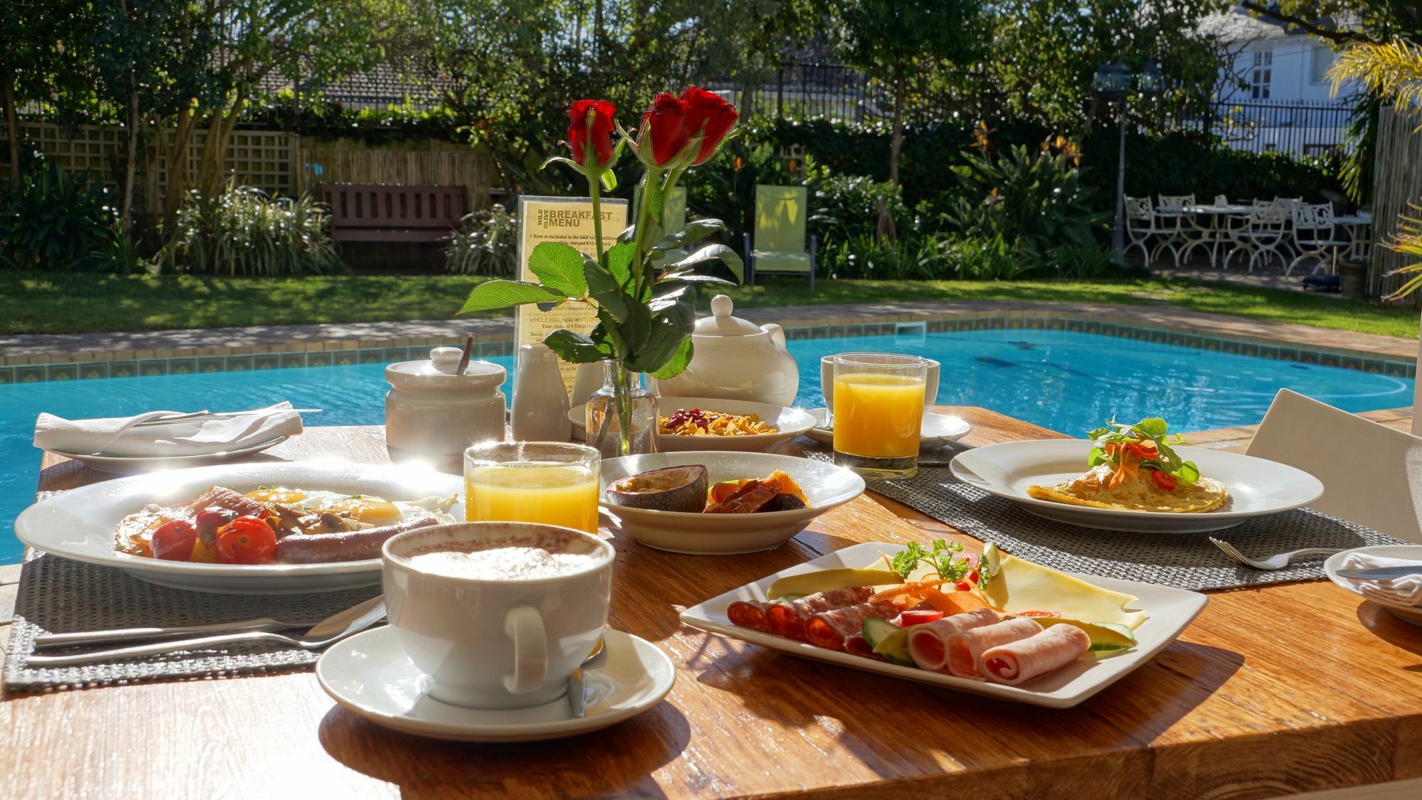 Guest house Wild Olive & Cape Town